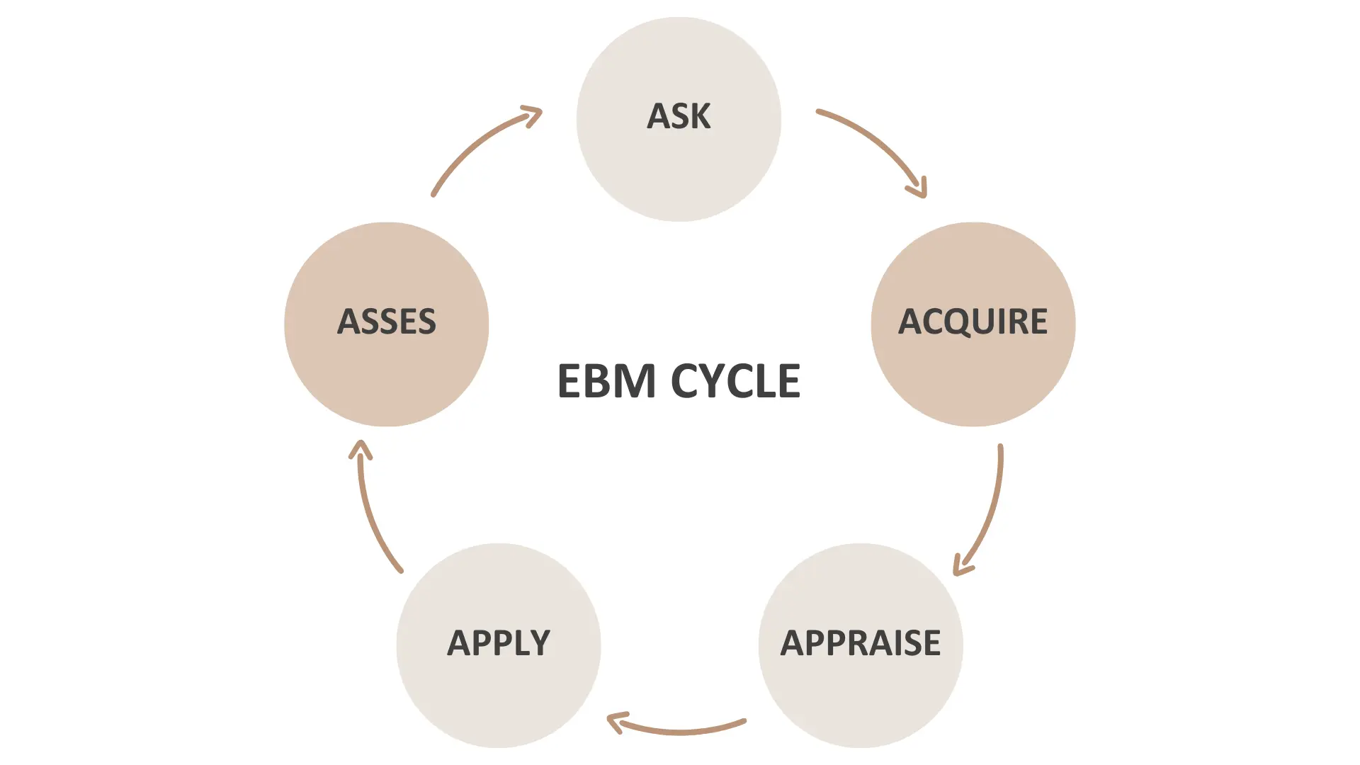 ebm-cycle-peerpro-lab